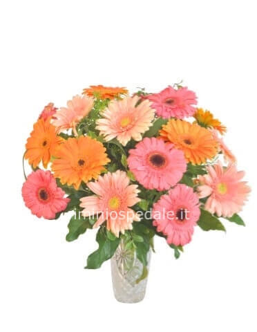 Bouquet di gerbere 9 steli